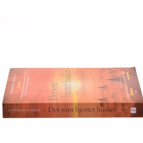 Det som hjertet husker af Jan-Philipp Sendker (Bog)