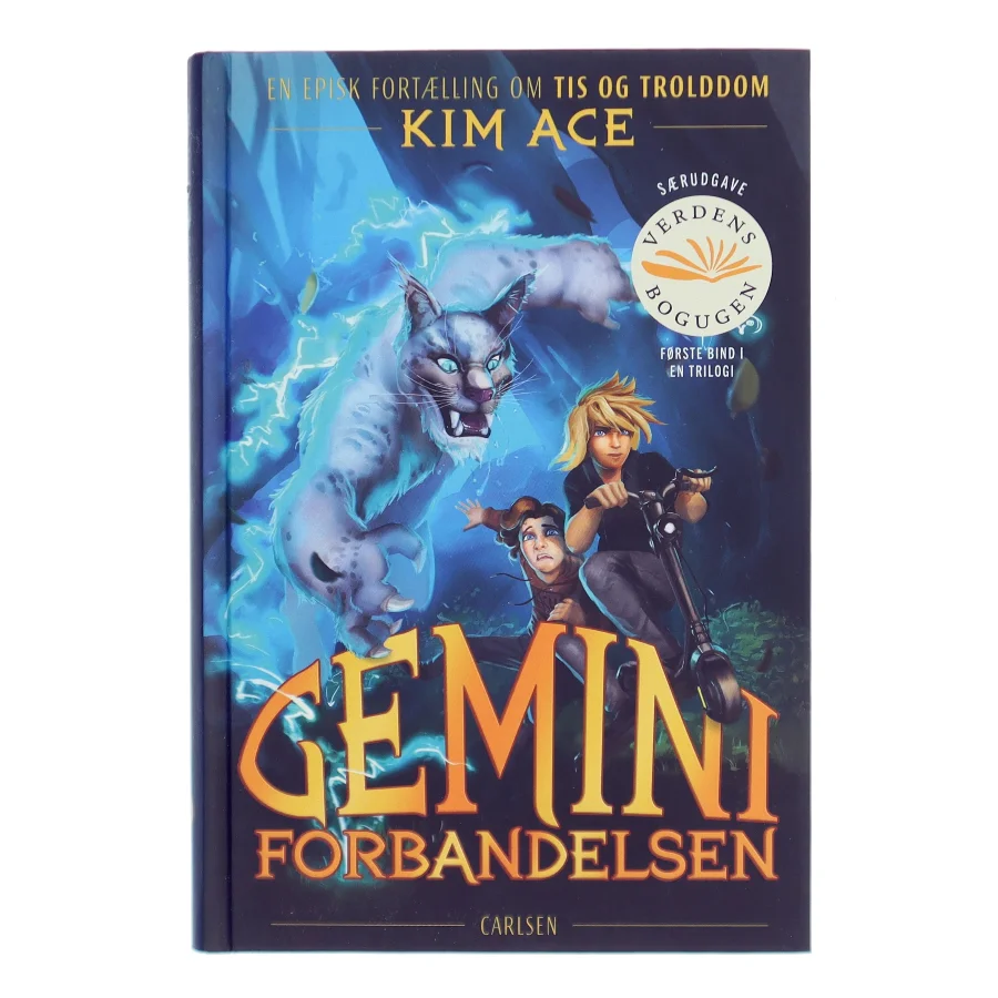 Gemini forbandelsen af Kim Ace (Bog)