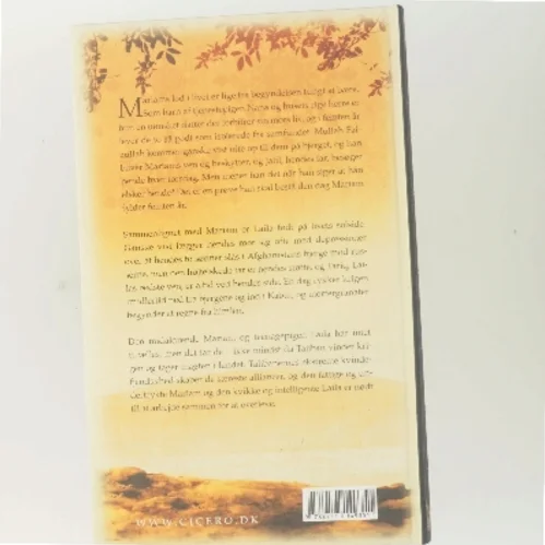 Under en strålende sol af Khaled Hosseini (Bog)