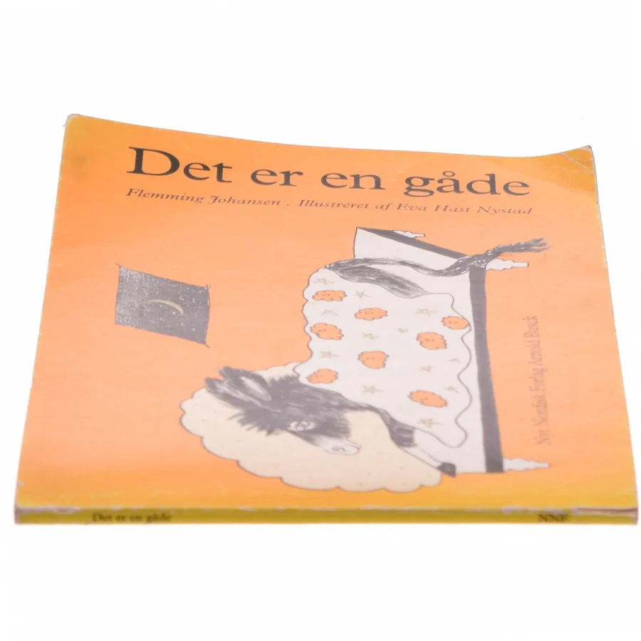 Det er en gåde : 45 gåder (Bog)