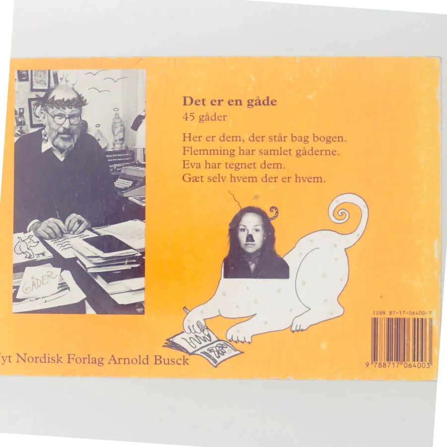 Det er en gåde : 45 gåder (Bog)