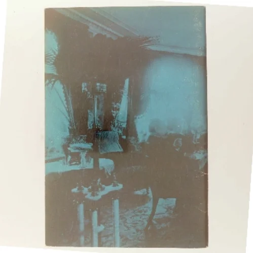 Ung omkring 1900 af Lilli Friis (Bog)