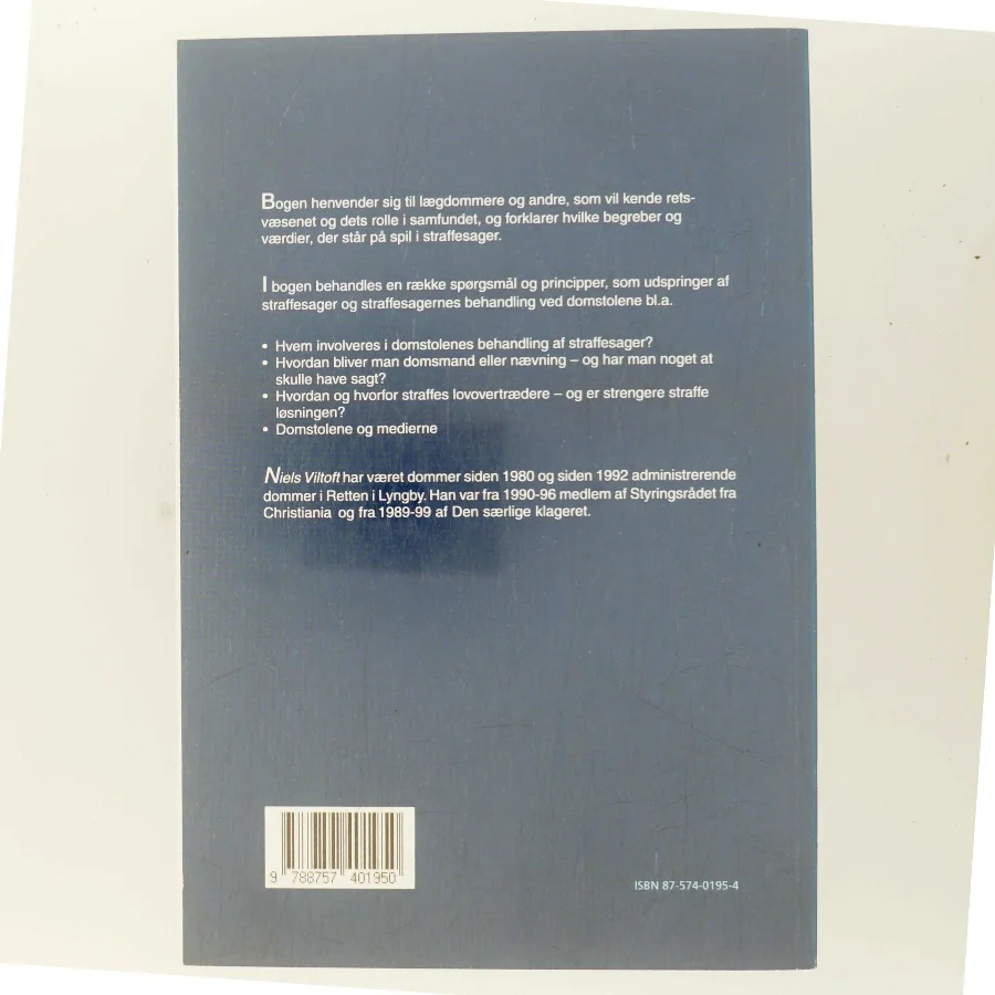 Domsmænd og retssystemet : kriminalitet, straf og retssikkerhed, hvordan og hvorfor af Niels Viltoft (Bog)