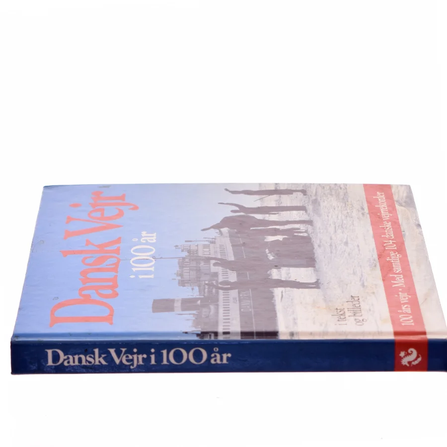 Dansk vejr i 100 år (Bog)