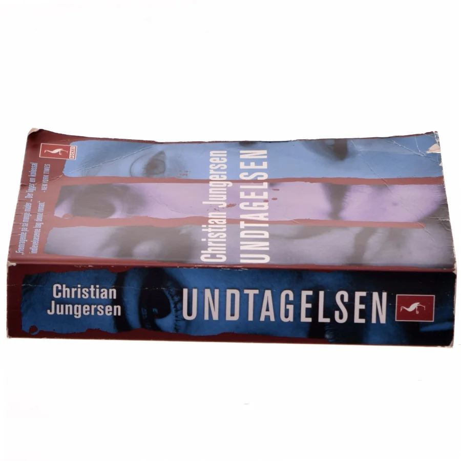 Undtagelsen : roman af Christian Jungersen (Bog)