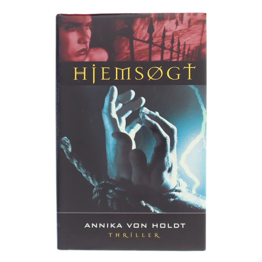 Hjemsøgt af Annika von Holdt (Bog)