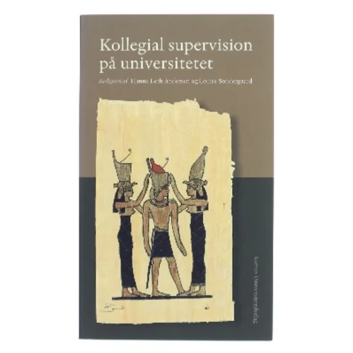 Kollegial supervision på universitetet (Bog)