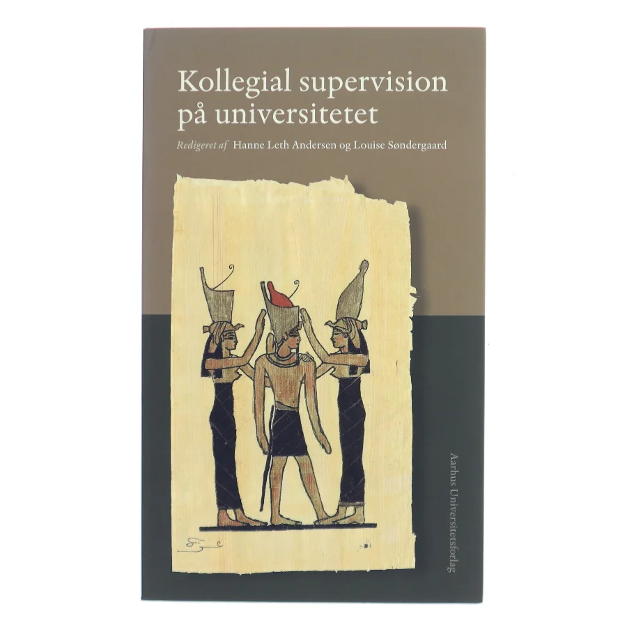 Kollegial supervision på universitetet (Bog)