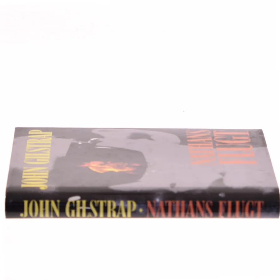 Nathans flugt af John Gilstrap (Bog)