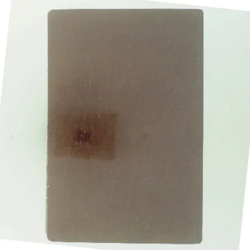 Stueplanter i farver af Eigil Kjær (Bog)