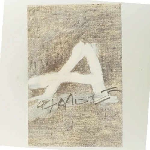 Tàpies af Antoni Tàpies (Bog)
