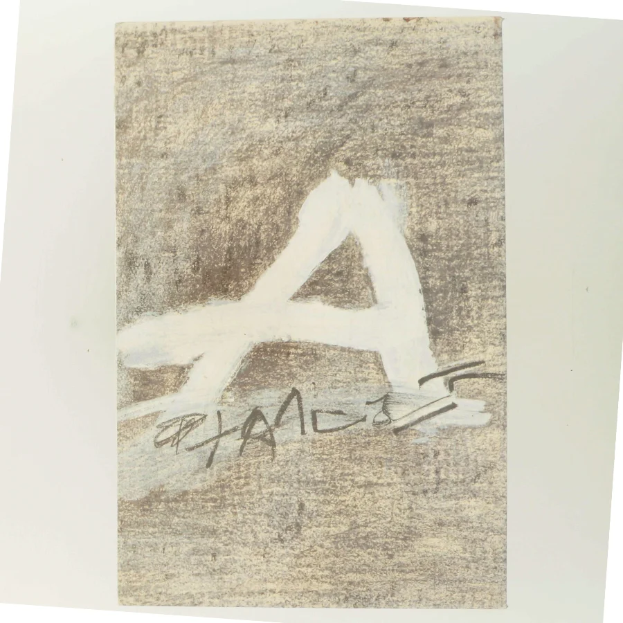 Tàpies af Antoni Tàpies (Bog)