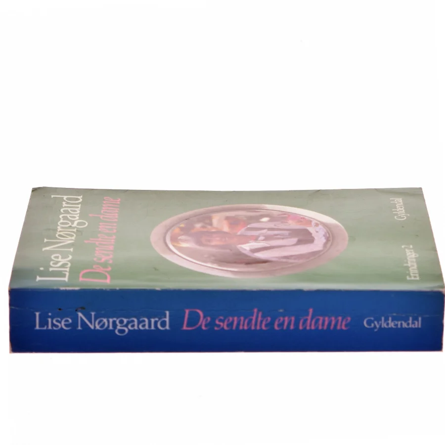 De sendte en dame af Lise Nørgaard (Bog)