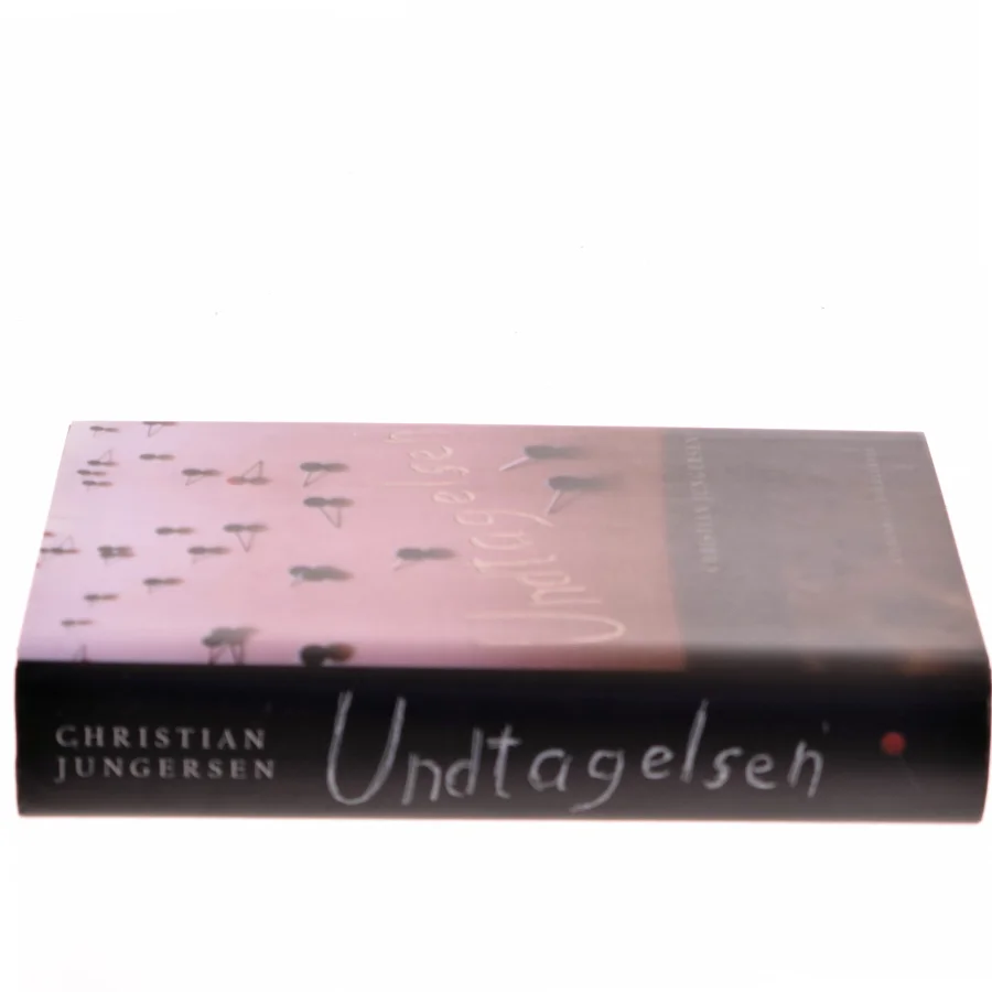 Undtagelsen : roman af Christian Jungersen (Bog)