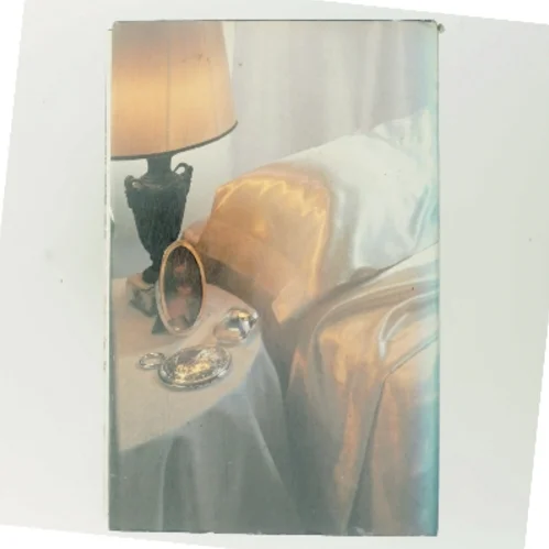 Silkehud af Shirley Conran (Bog)