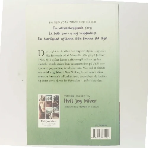 Da hun forsvandt af Gayle Forman (Bog)