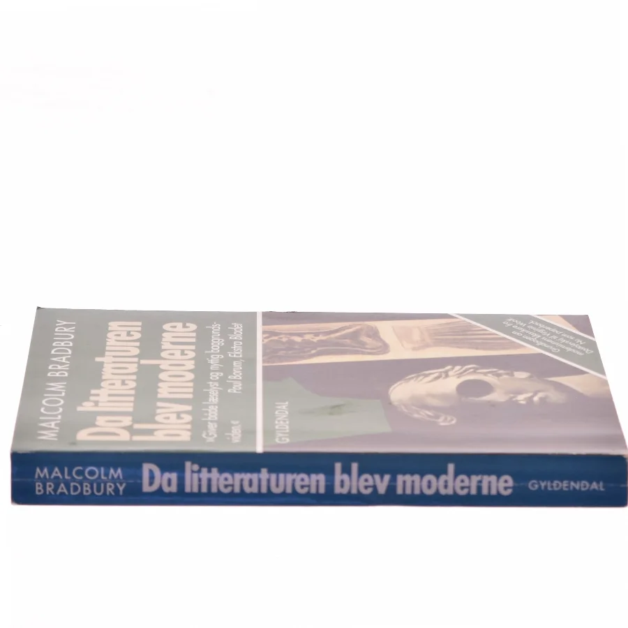 Da litteraturen blev moderne : ti store forfattere af Malcolm Bradbury (Bog)