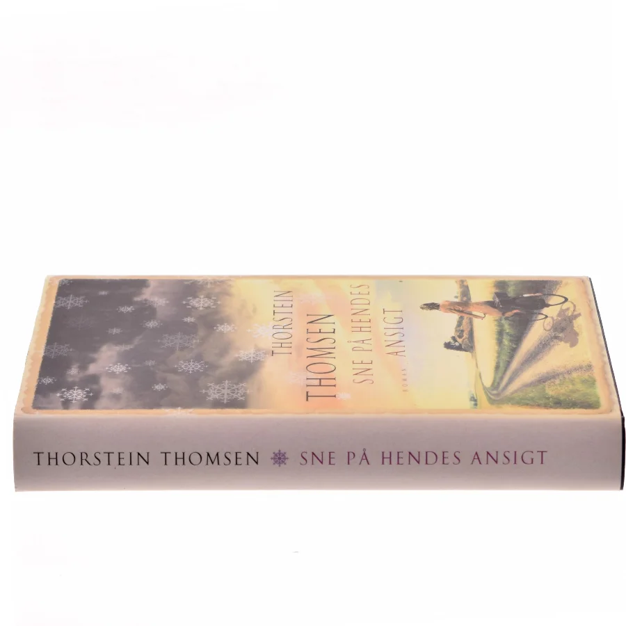 Sne på hendes ansigt af Thorstein Thomsen (f. 1950) (Bog)