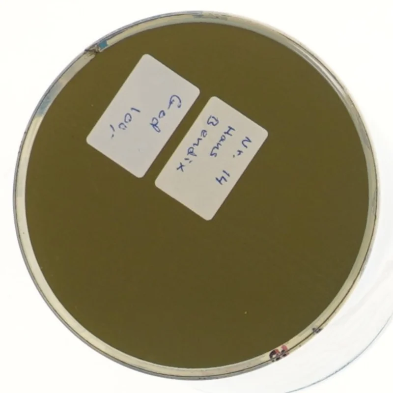 Irma kunstdåse nr. 14