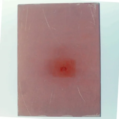 Dyreleksikon bog fra Lademann