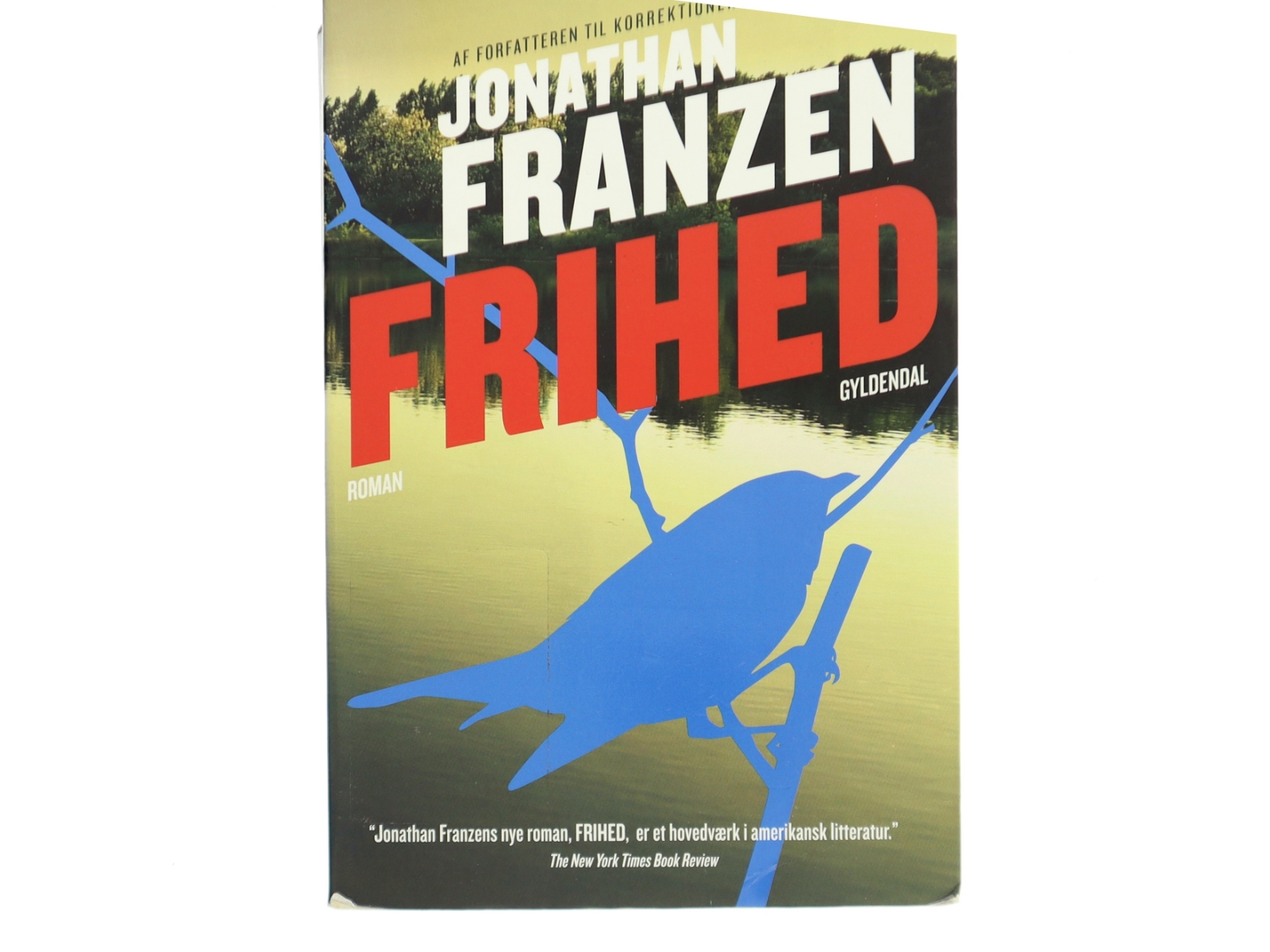 Frihed af Jonathan Franzen (Bog)