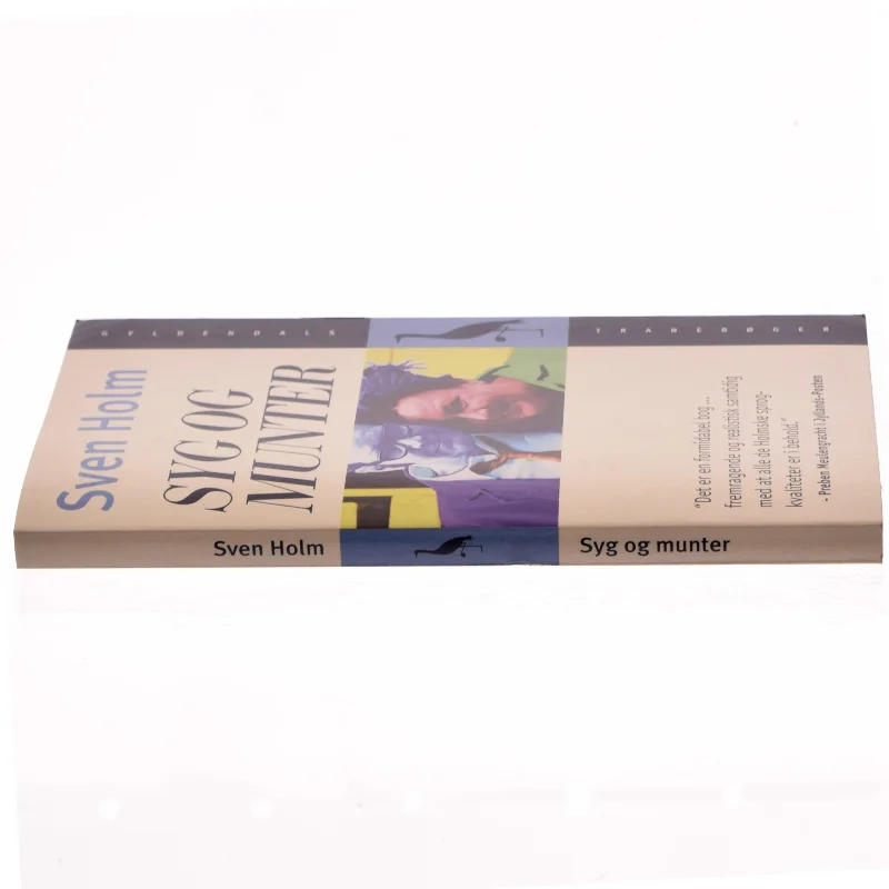 Syg og munter : roman af Sven Holm (f. 1940) (Bog)