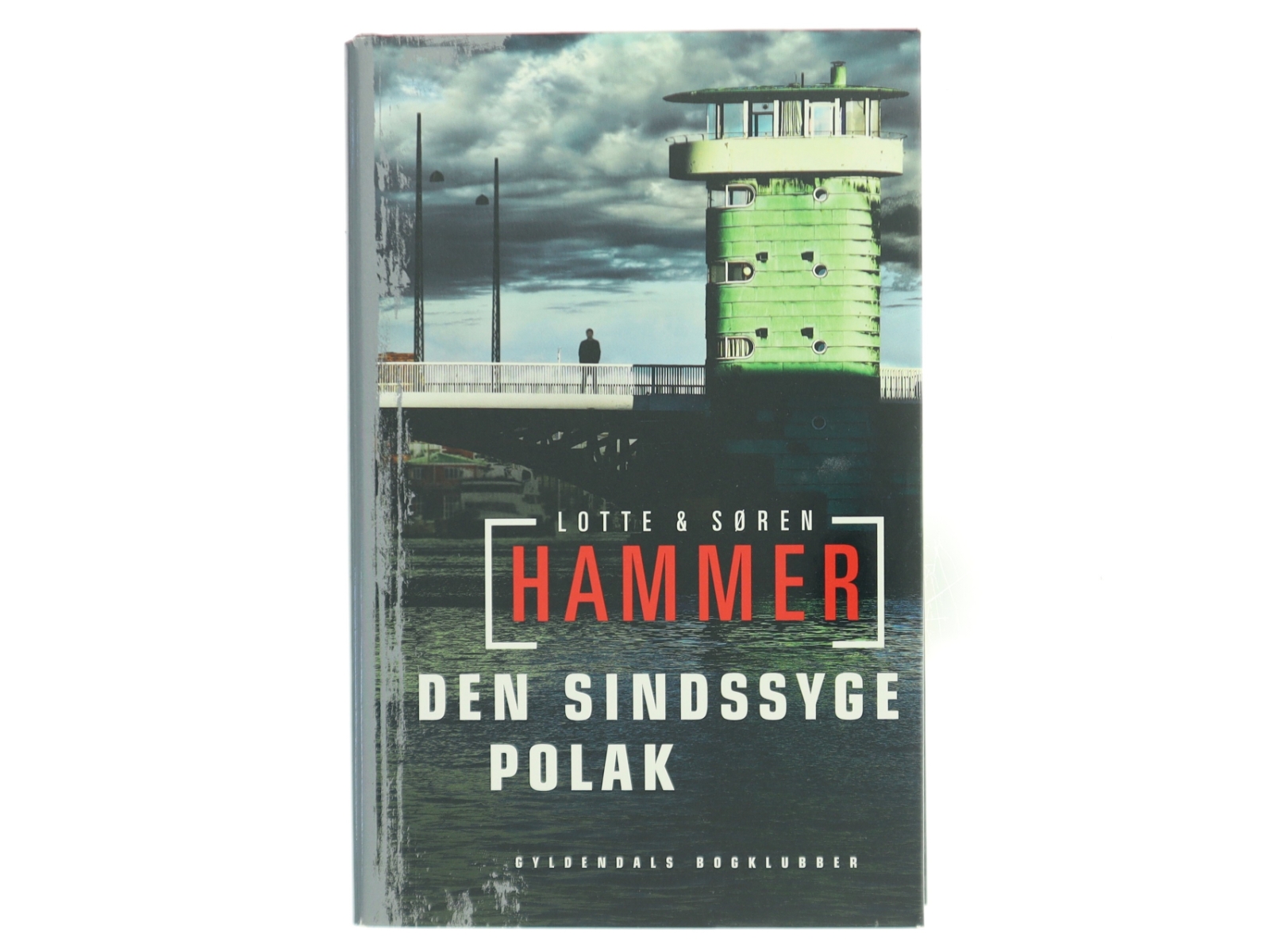 Den sindssyge polak : kriminalroman af Lotte Hammer (Bog)