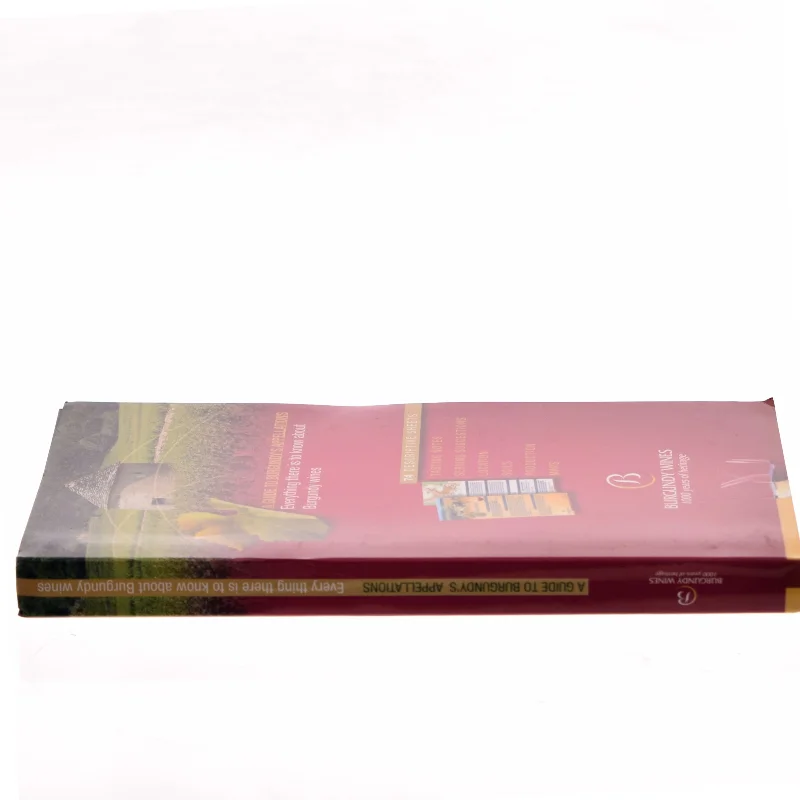 Invitation aux Bourgognes af Jacques Lagrange (Bog)