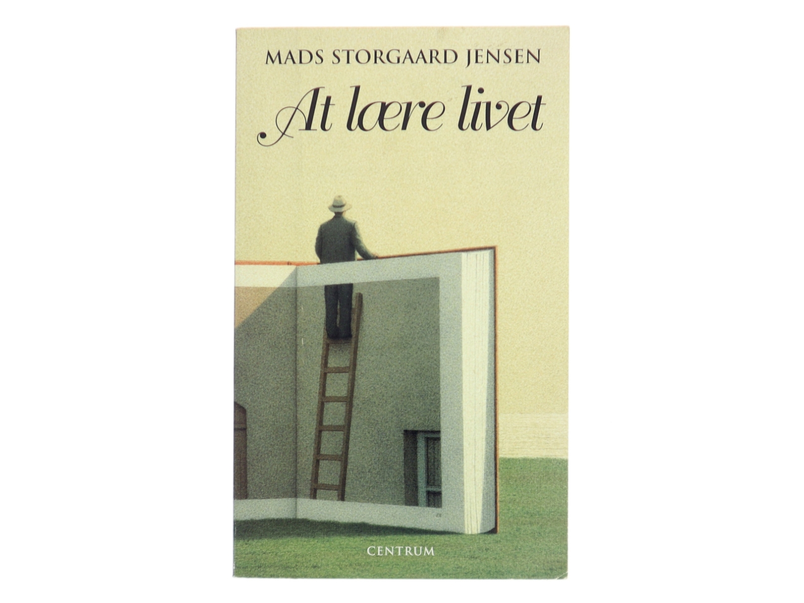 At lære livet af Mads Storgaard Jensen (Bog)