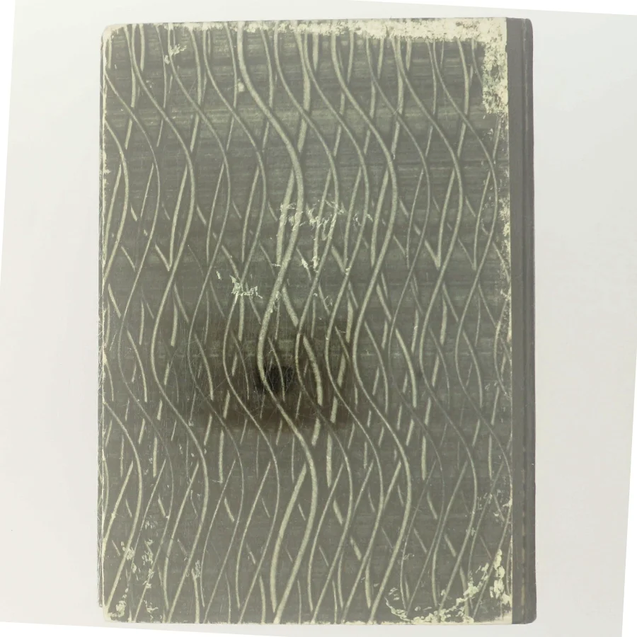 Komedie i Florens af Poul Ørum