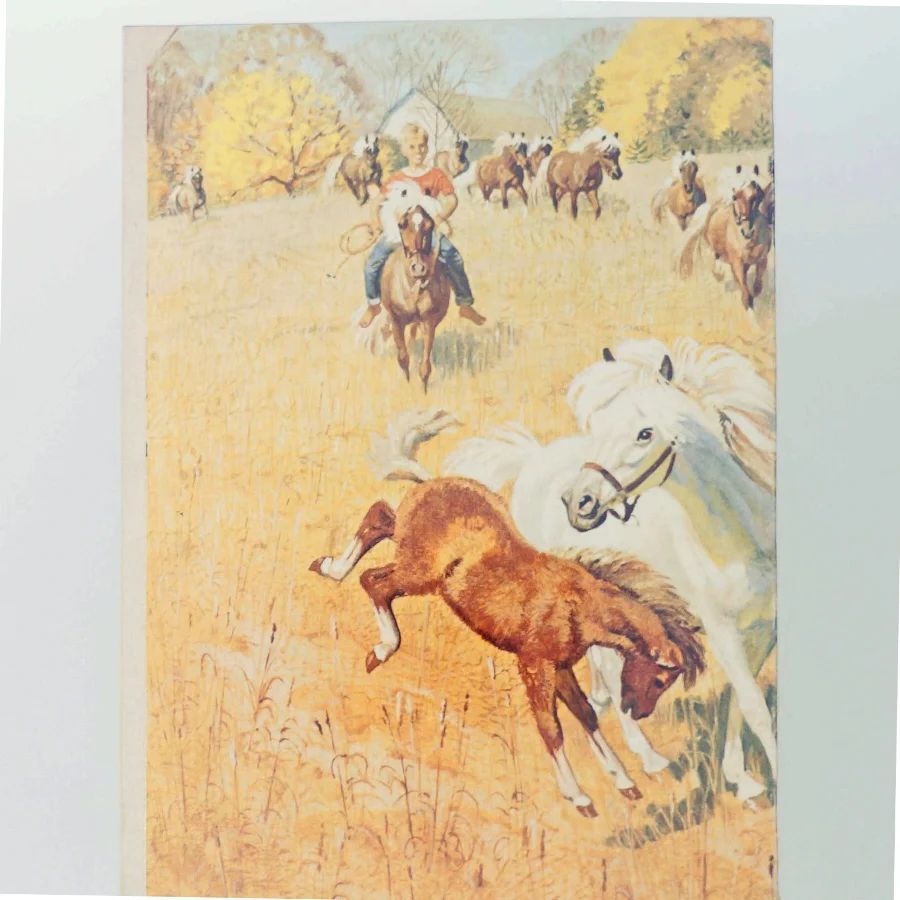 Vintage magasin og kunsttryk fra Reader's Digest (str. Standard bogformat)