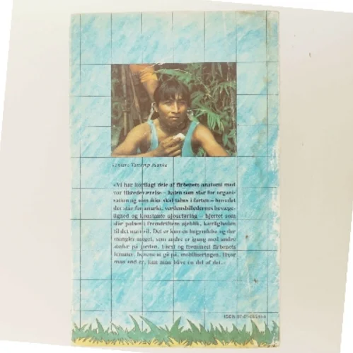 Rejsen til det grønne firben af Ib Michael (Bog)