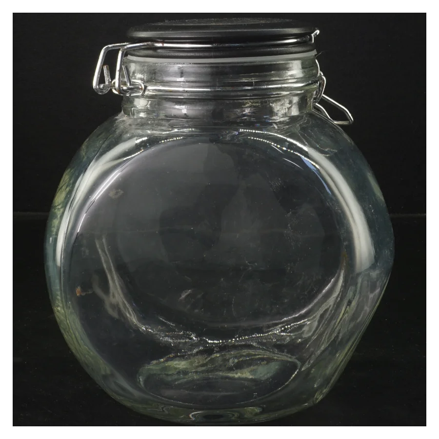  Glas med låg fra Cado (str. 19 cm)