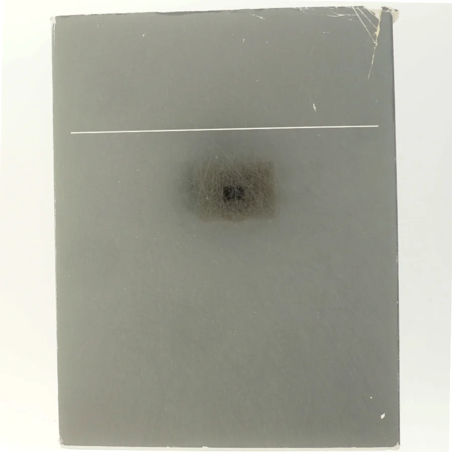 Videnskabens Verden: Mennesket