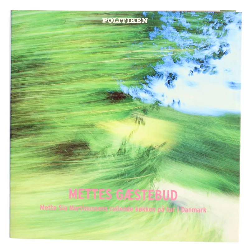 Mettes gæstebud (Bog)