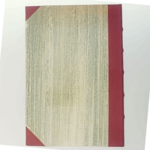 Fyn af Kalle Lauring (Bog)