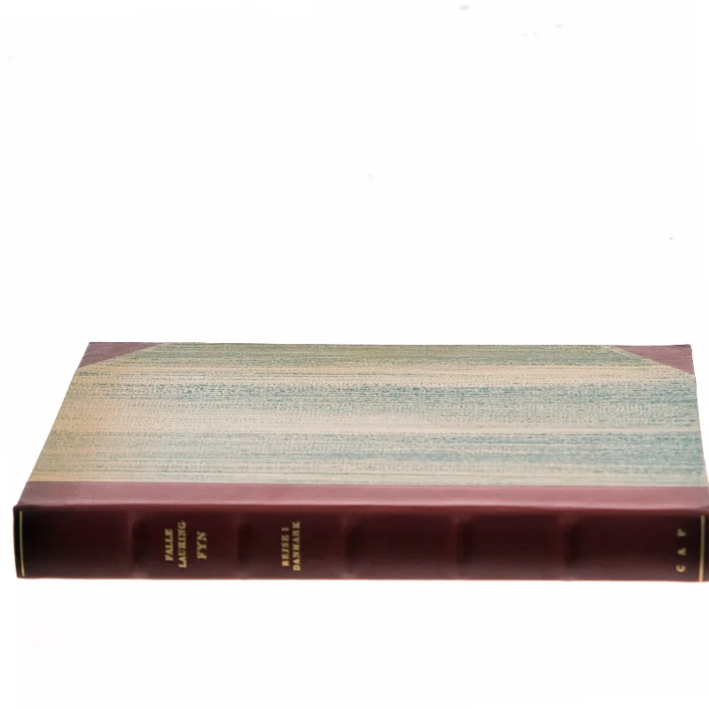 Fyn af Kalle Lauring (Bog)