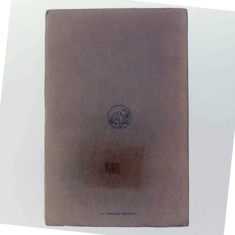 Kaspar Hauser af Johannes E. Hohlenberg (Bog)