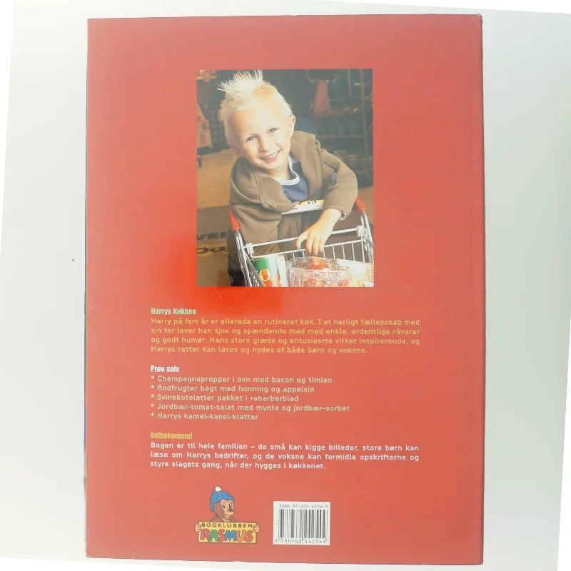 Harrys køkken : madlavning i børnehøjde af Carsten Kyster (Bog)