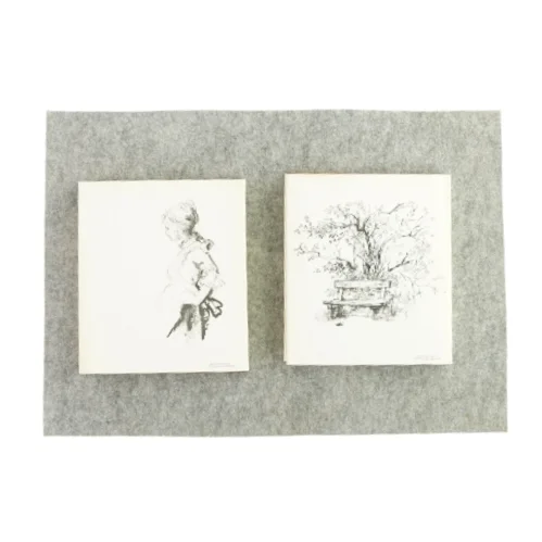 Sædelighedssager bind 1 og 2 af Ole Storm (bog)