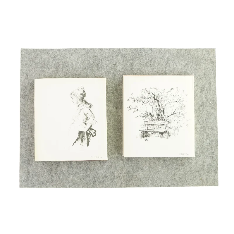 Sædelighedssager bind 1 og 2 af Ole Storm (bog)