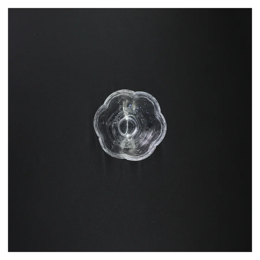 Gennemsigtig glasfad (str. 7 x 10 cm)