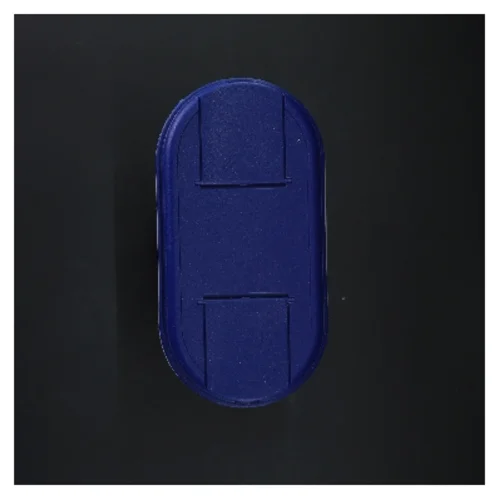 Plastbeholder med blåt låg (str. 19x22x8 cm)