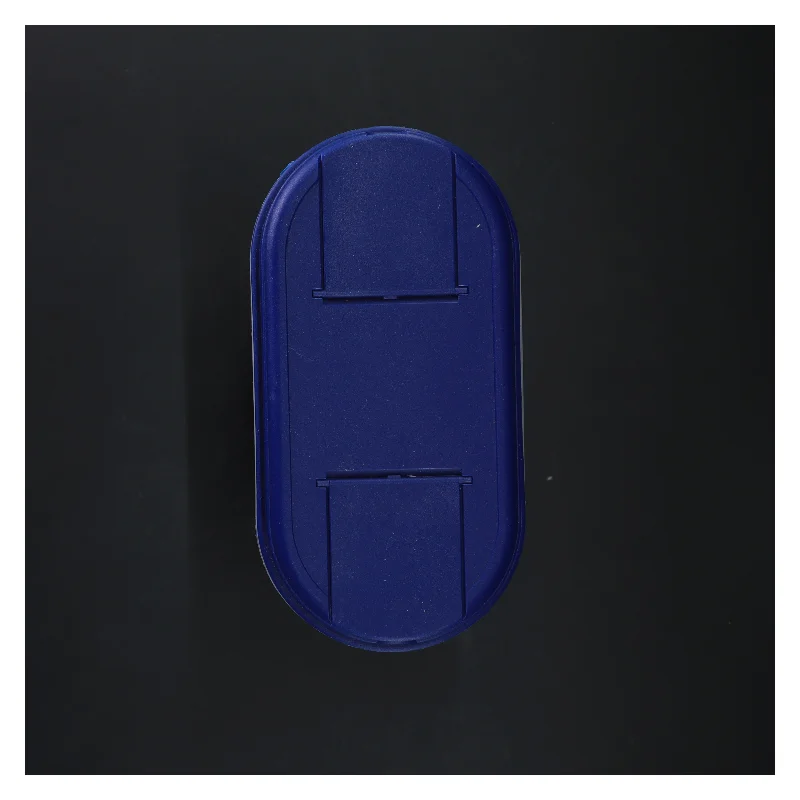 Plastbeholder med blåt låg (str. 19x22x8 cm)