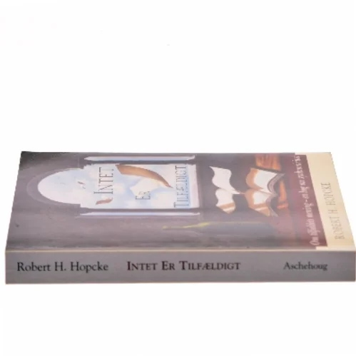 Intet er tilfældigt : om tilfældets mening - en bog om synkronicitet af Robert H. Hopcke (Bog)