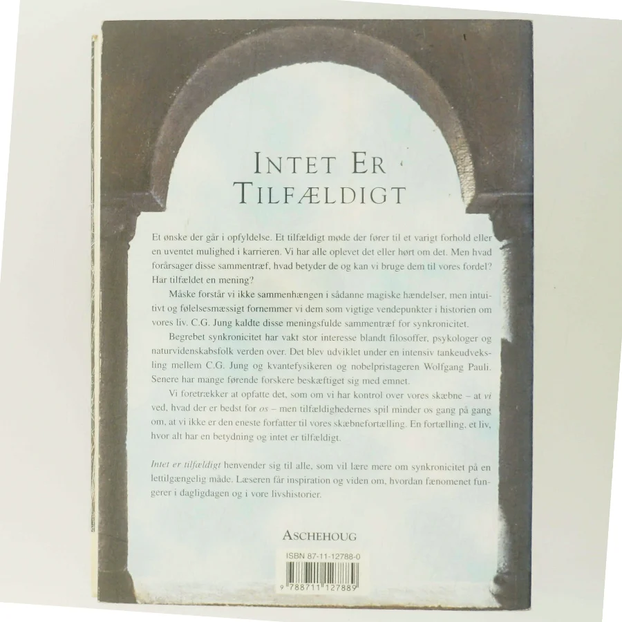 Intet er tilfældigt : om tilfældets mening - en bog om synkronicitet af Robert H. Hopcke (Bog)