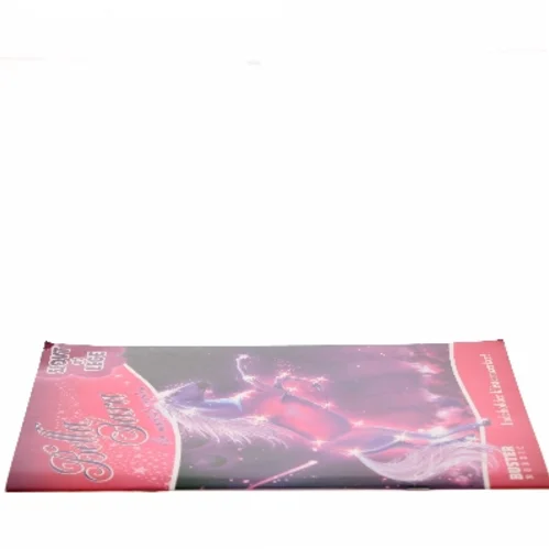 Bella Sara: En magisk verden (Bog)