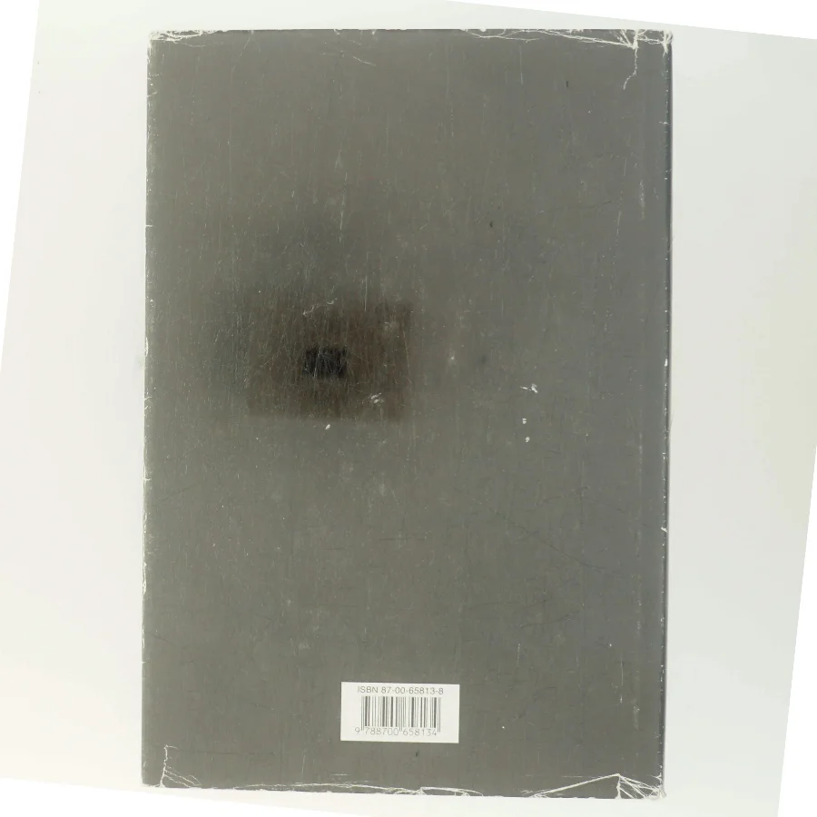 Lykkens datter af Isabel Allende (Bog)