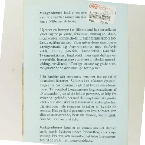 Mulighedernes land 2 af Vibeke Grønfeldt (Bog)