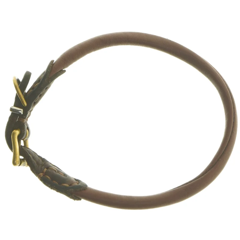 Brunt hundehalsbånd? med guldspænde (str. Ø 17 cm)